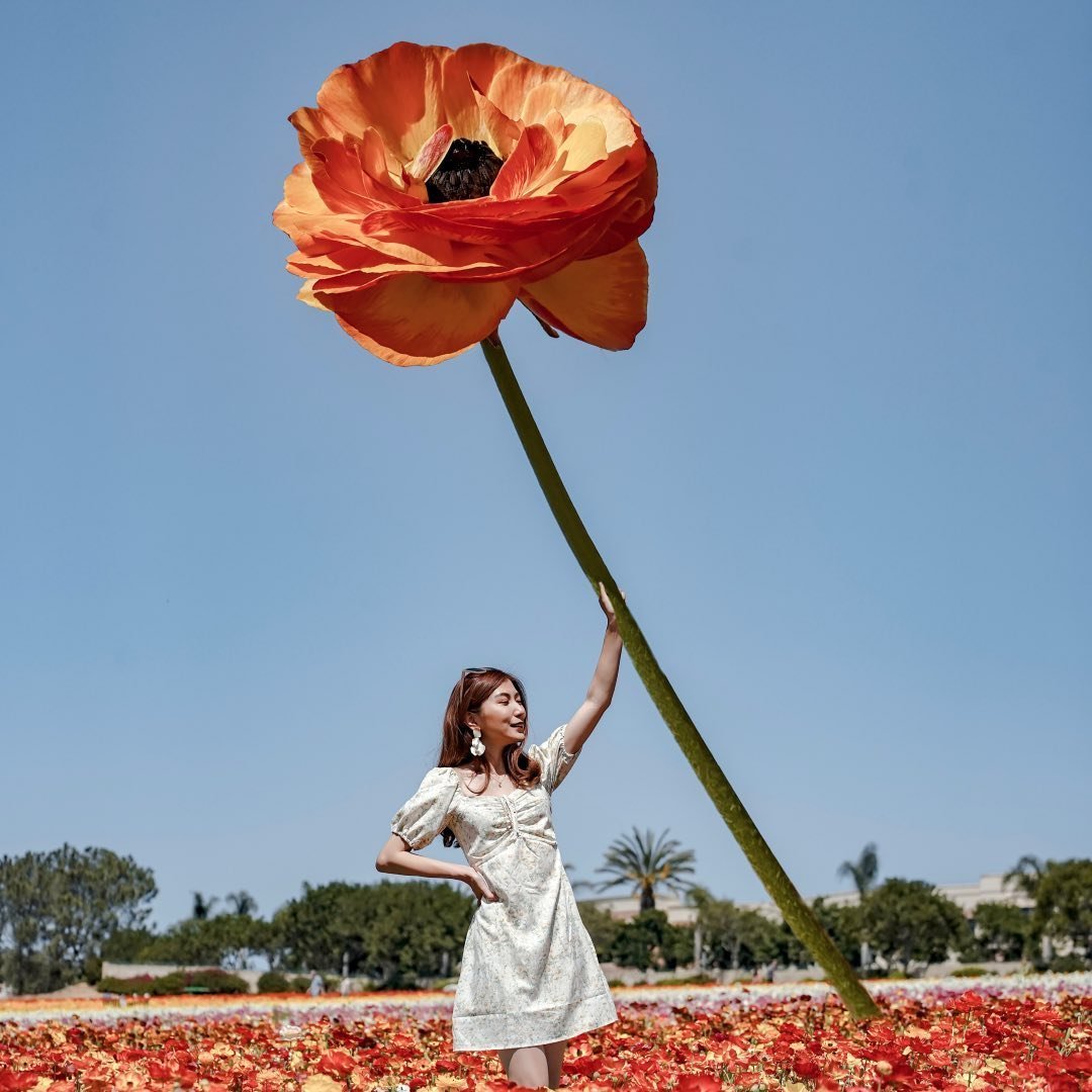 Teresa - @teresa.ctw